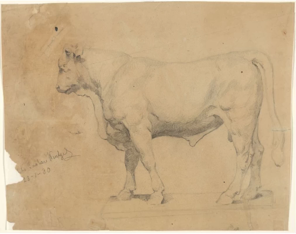 Toro - The National Museum, Oslo